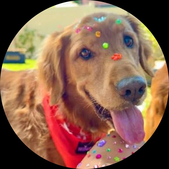 gemsticker